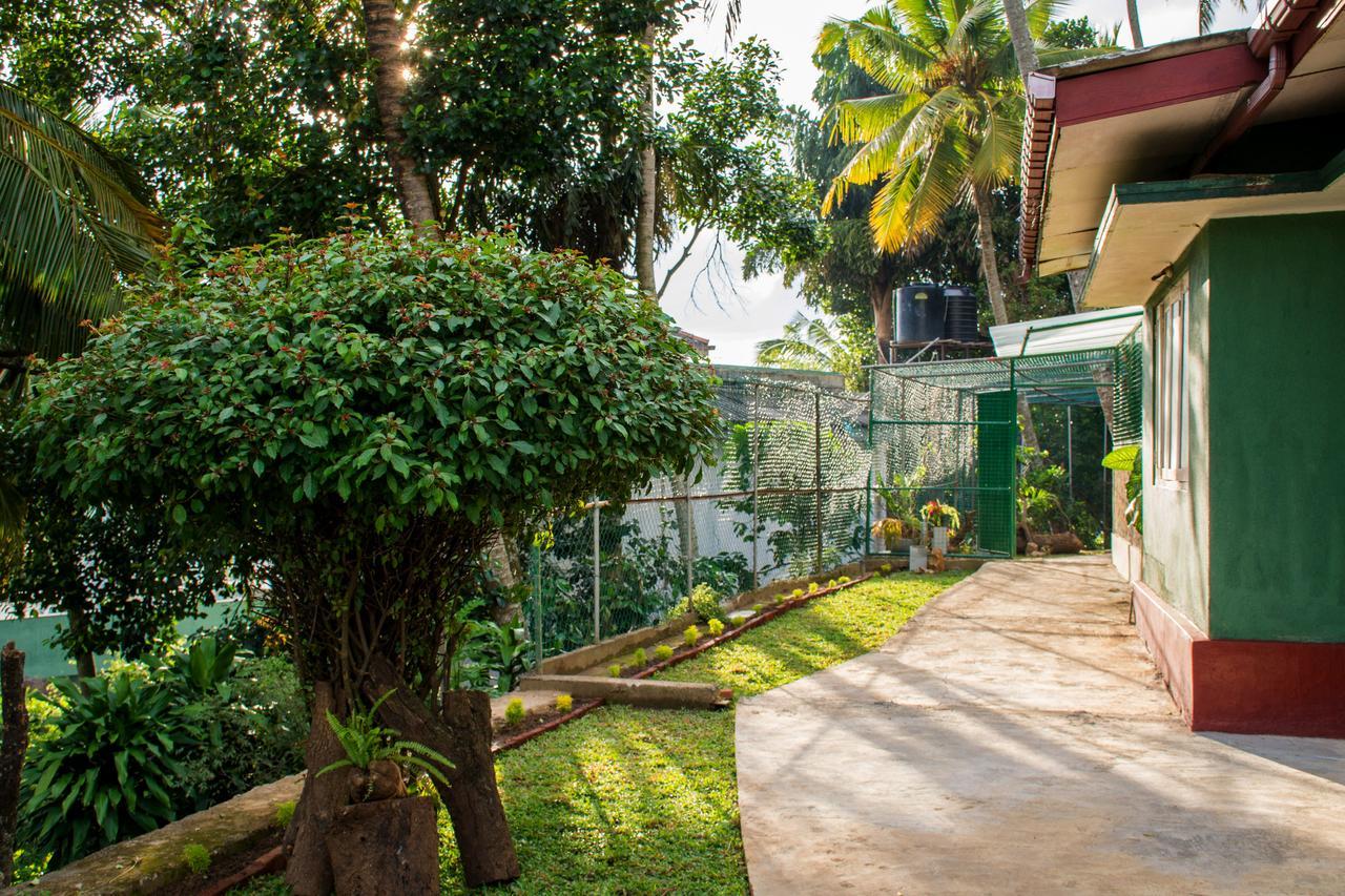 Udawatta Kele Villa Kandy Eksteriør bilde