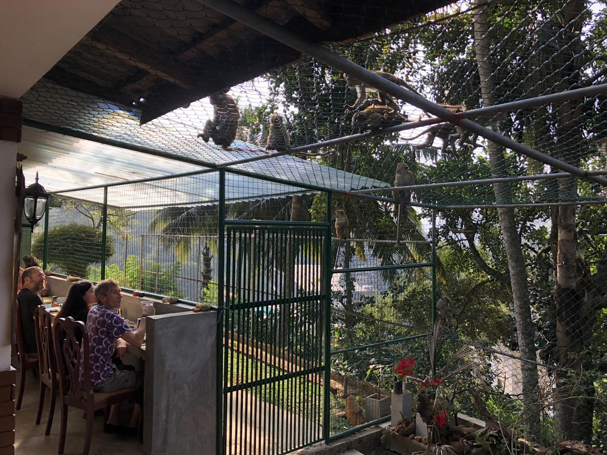 Udawatta Kele Villa Kandy Eksteriør bilde